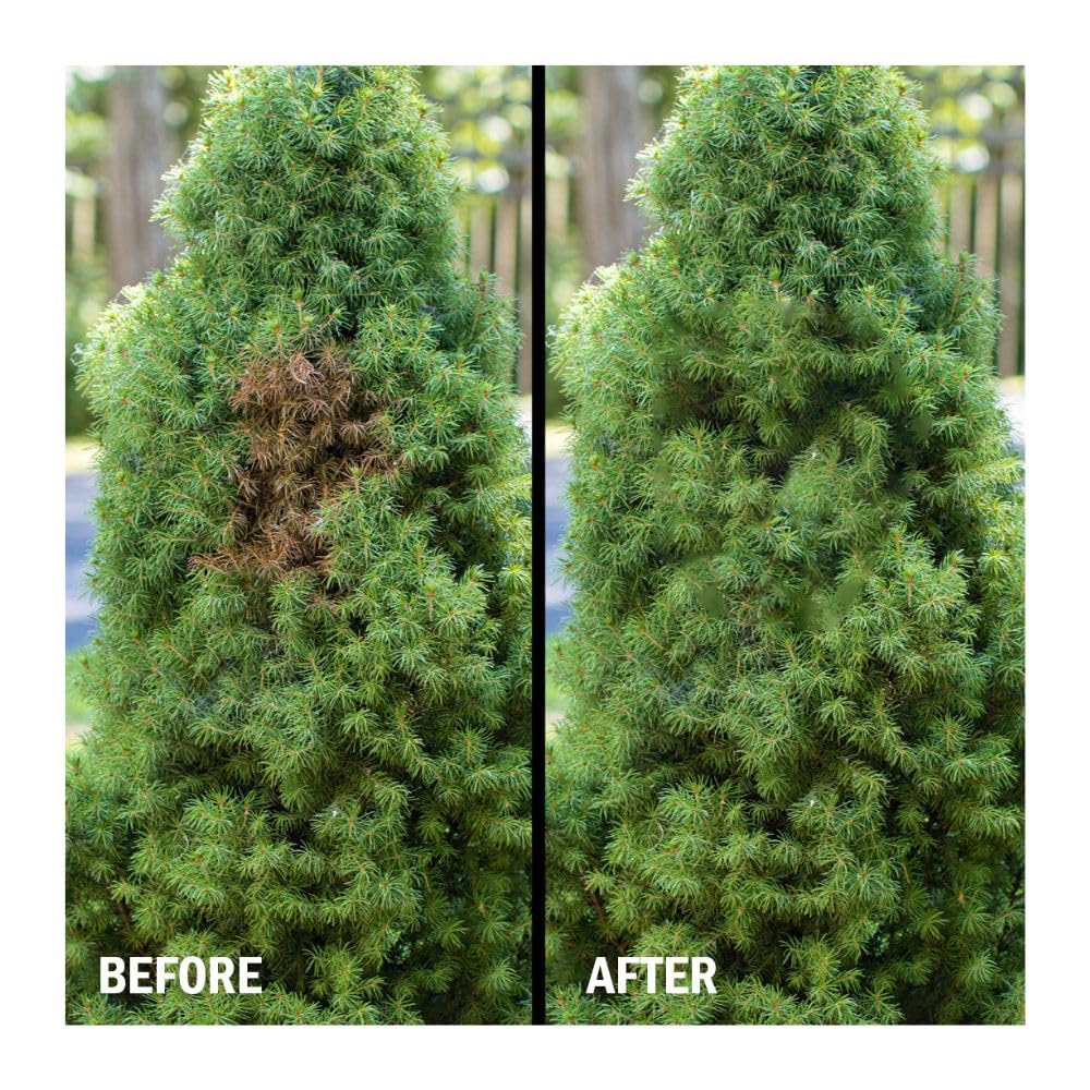 Seymour Grass & Shrub Renew Spray Paint – Pristine Green, 17oz for Lawn Repair