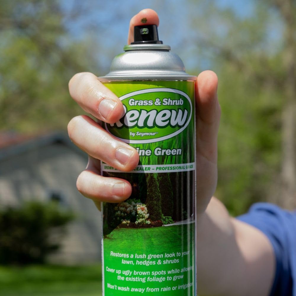 Seymour Grass & Shrub Renew Spray Paint – Pristine Green, 17oz for Lawn Repair