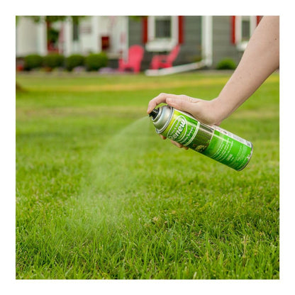 Seymour Grass & Shrub Renew Spray Paint – Pristine Green, 17oz for Lawn Repair