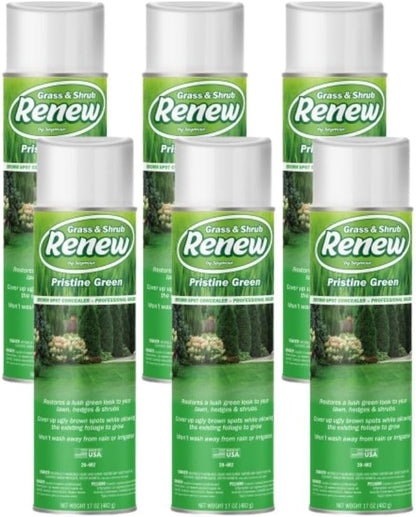 Seymour Grass & Shrub Renew Spray Paint – Pristine Green, 17oz for Lawn Repair