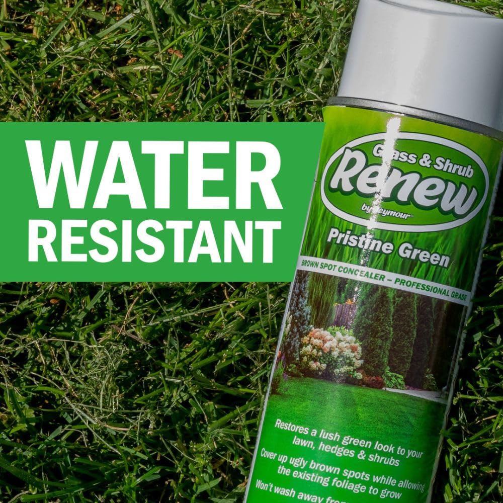 Seymour Grass & Shrub Renew Spray Paint – Pristine Green, 17oz for Lawn Repair